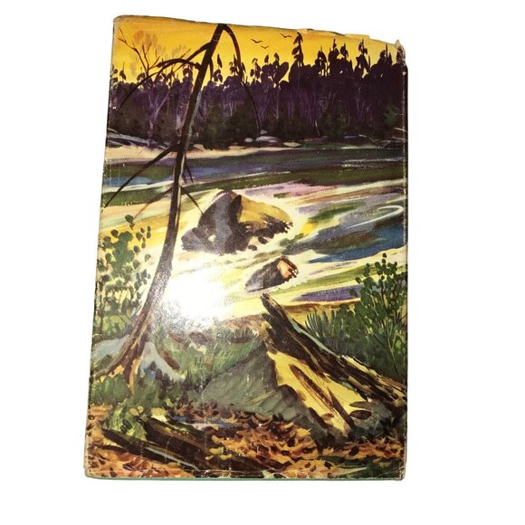 The Walton Boys and Rapids Ahead Hardback Vintage Book - Picture 2 of 11